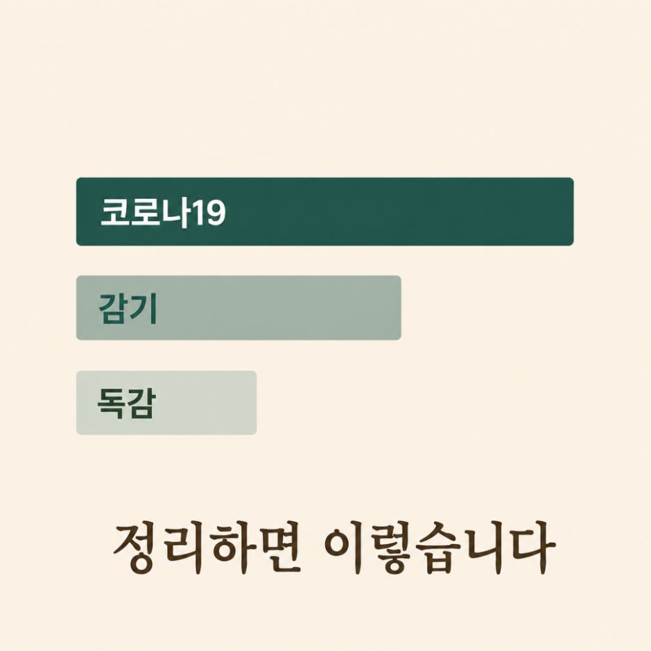 정리하면 이렇습니다